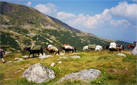 Horseback in Rhodope mountains