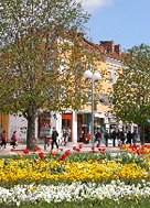 Pleven hotels