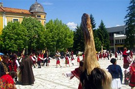 Razlog hotels