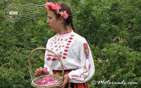 Girl in a rose field in Kazanlak